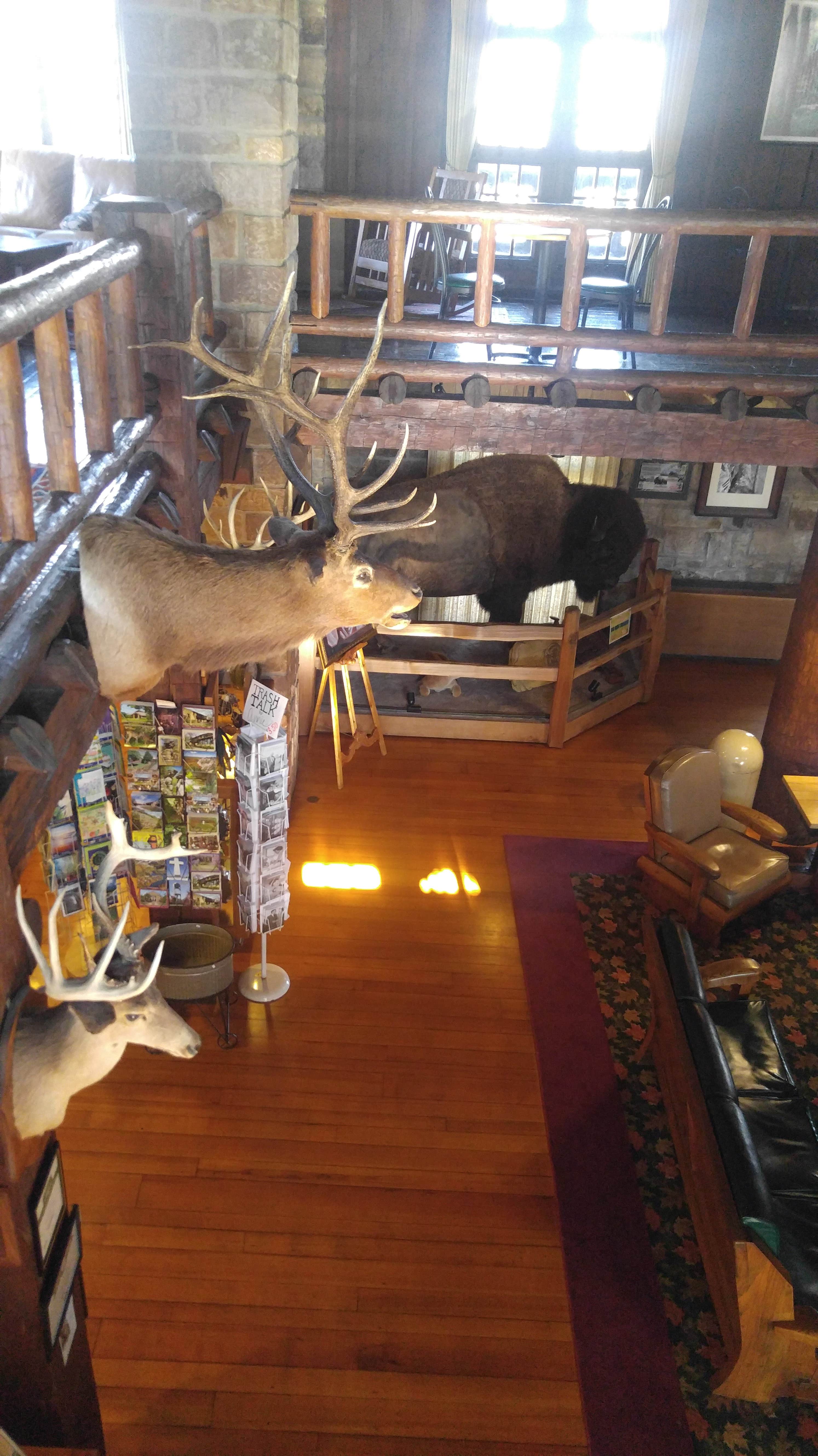 Giant City State Park Campground