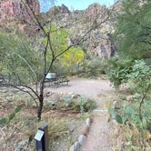 Review photo of Bright Angel Campground — Grand Canyon National Park by Shelagh R., February 3, 2021