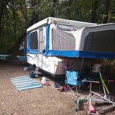 Review photo of Starved Rock Campground — Starved Rock State Park by Rachel C., February 3, 2021