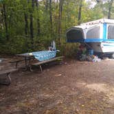 Review photo of Starved Rock Campground — Starved Rock State Park by Rachel C., February 3, 2021