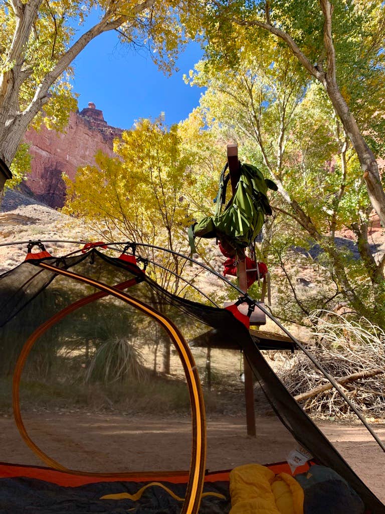 Camper-submitted photo at Havasupai Gardens Campground — Grand Canyon National Park near Tuba City, AZ