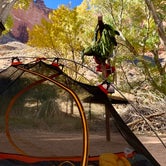 Review photo of Havasupai Gardens Campground — Grand Canyon National Park by Shelagh R., February 3, 2021