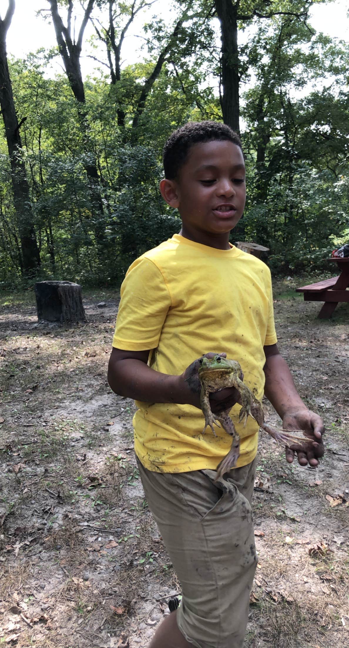 Camper-submitted photo at Emerald Trails Campground near Beecher, IL