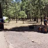 Review photo of Sitgreaves National Forest Canyon Point Campground by Krista Z., May 28, 2018