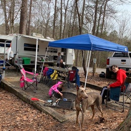 Hard Labor Creek State Park Campground