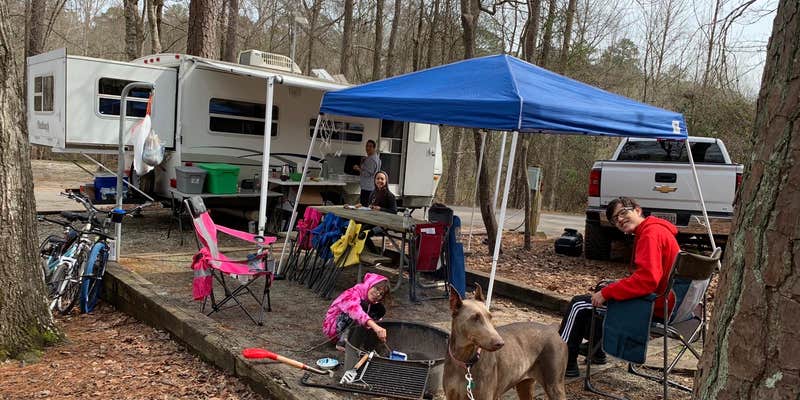 Camper submitted image from Hard Labor Creek State Park Campground