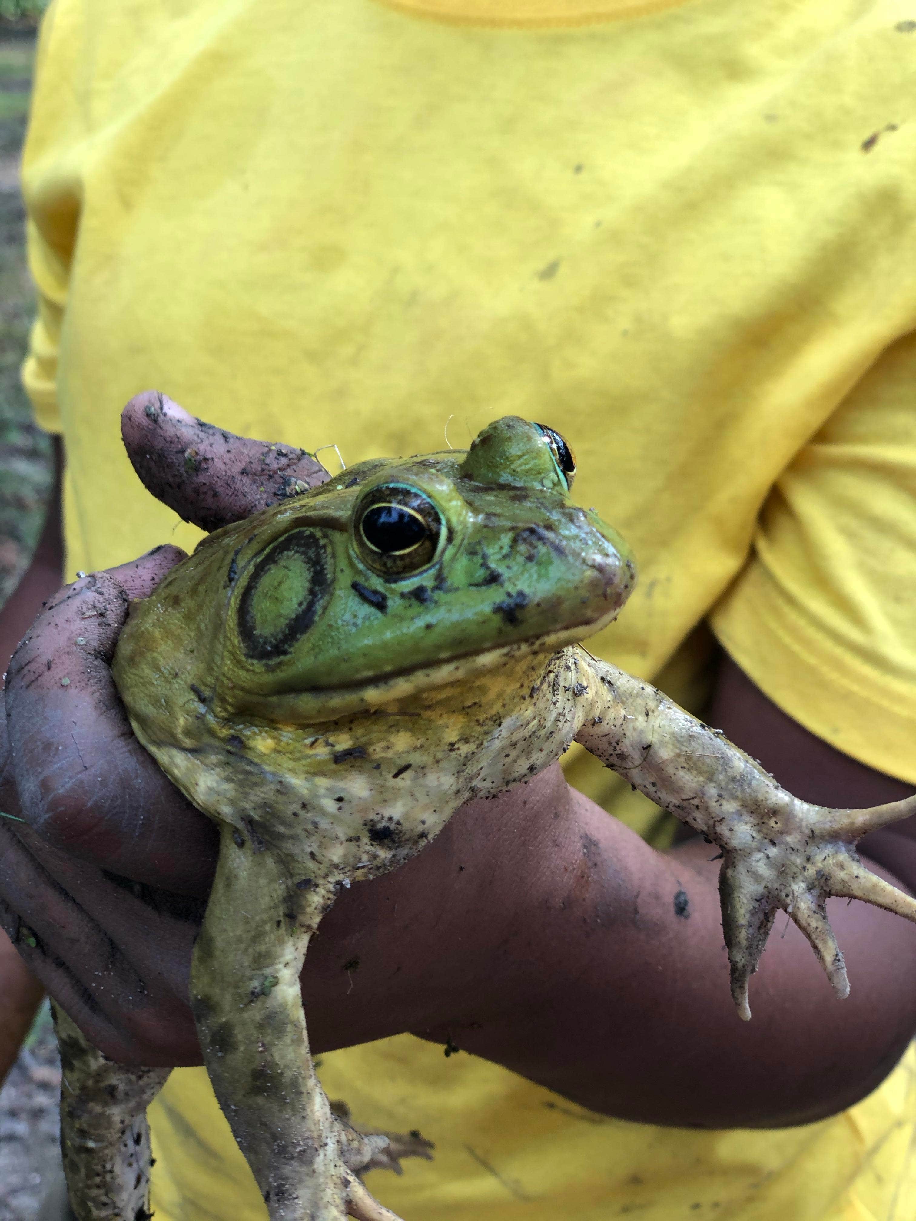 Camper-submitted photo at Emerald Trails Campground near Beecher, IL
