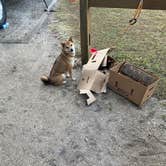 Review photo of Riverside Camping — Gamble Rogers Memorial State Recreation Area at Flagler Beach by Corey L., February 3, 2021