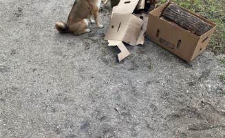 Corey L.'s photo of camping with pets at Riverside Camping — Gamble Rogers Memorial State Recreation Area at Flagler Beach near Palm Coast, FL