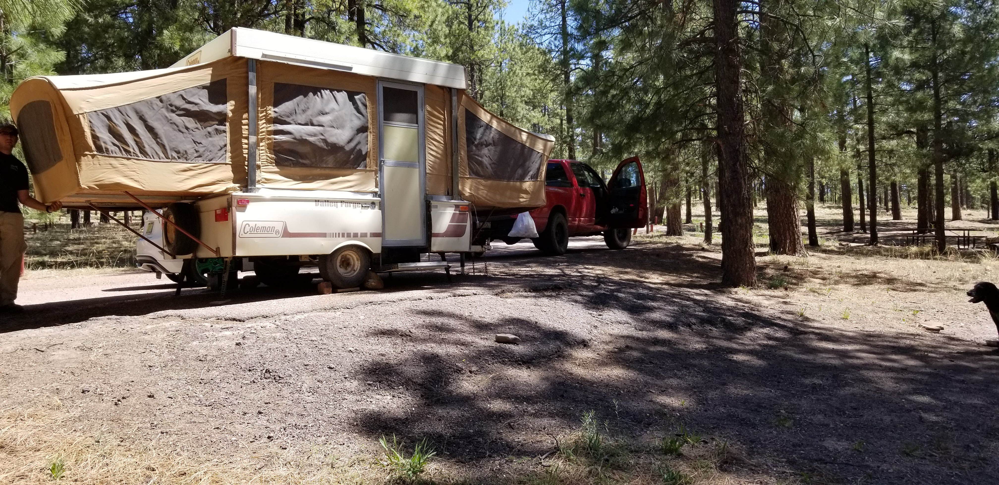 Camper-submitted photo at Sitgreaves National Forest Canyon Point Campground near Forest Lakes, AZ
