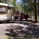 Review photo of Sitgreaves National Forest Canyon Point Campground by Krista Z., May 28, 2018