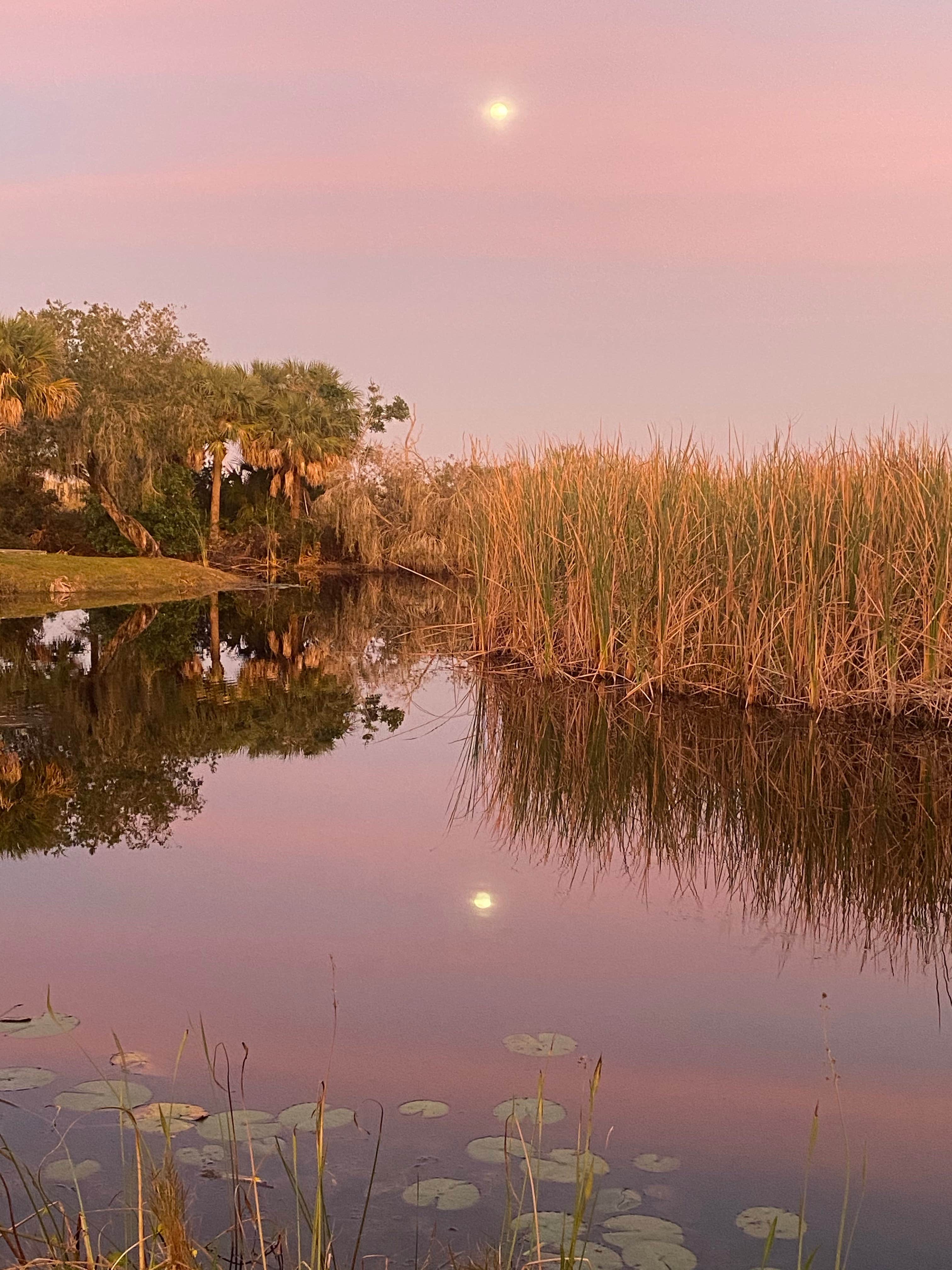 Camping near Nettles Island Resort: Savannas Recreation Area, Fort Pierce, Florida