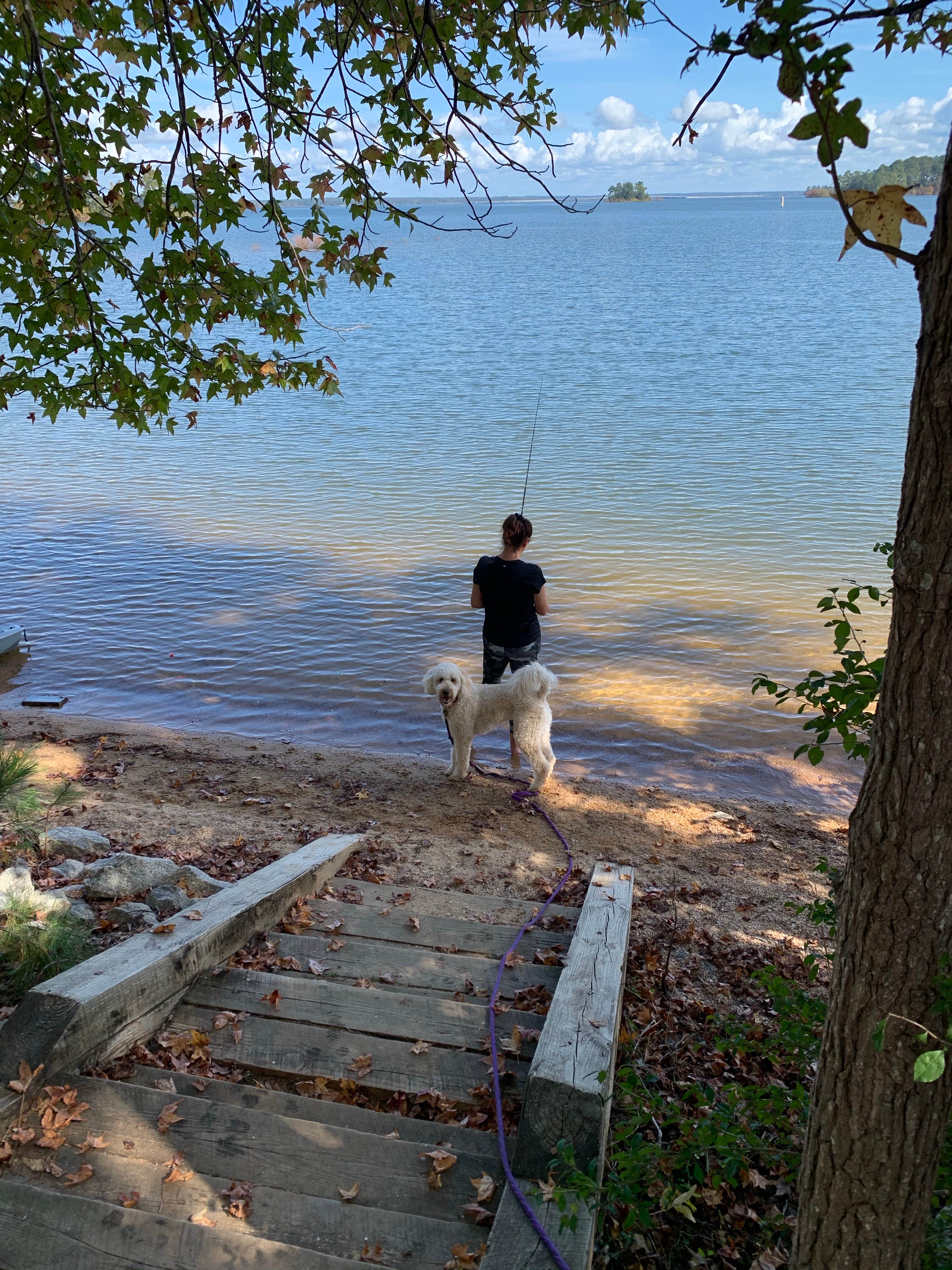 Joseph C.'s photo of camping with pets at Mistletoe State Park Campground near J. Strom Thurmond Lake
