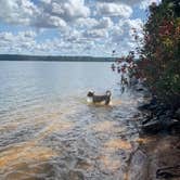 Review photo of Mistletoe State Park Campground by Joseph C., February 3, 2021