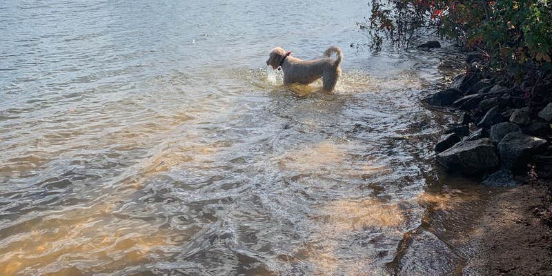 Camper submitted image from Mistletoe State Park Campground