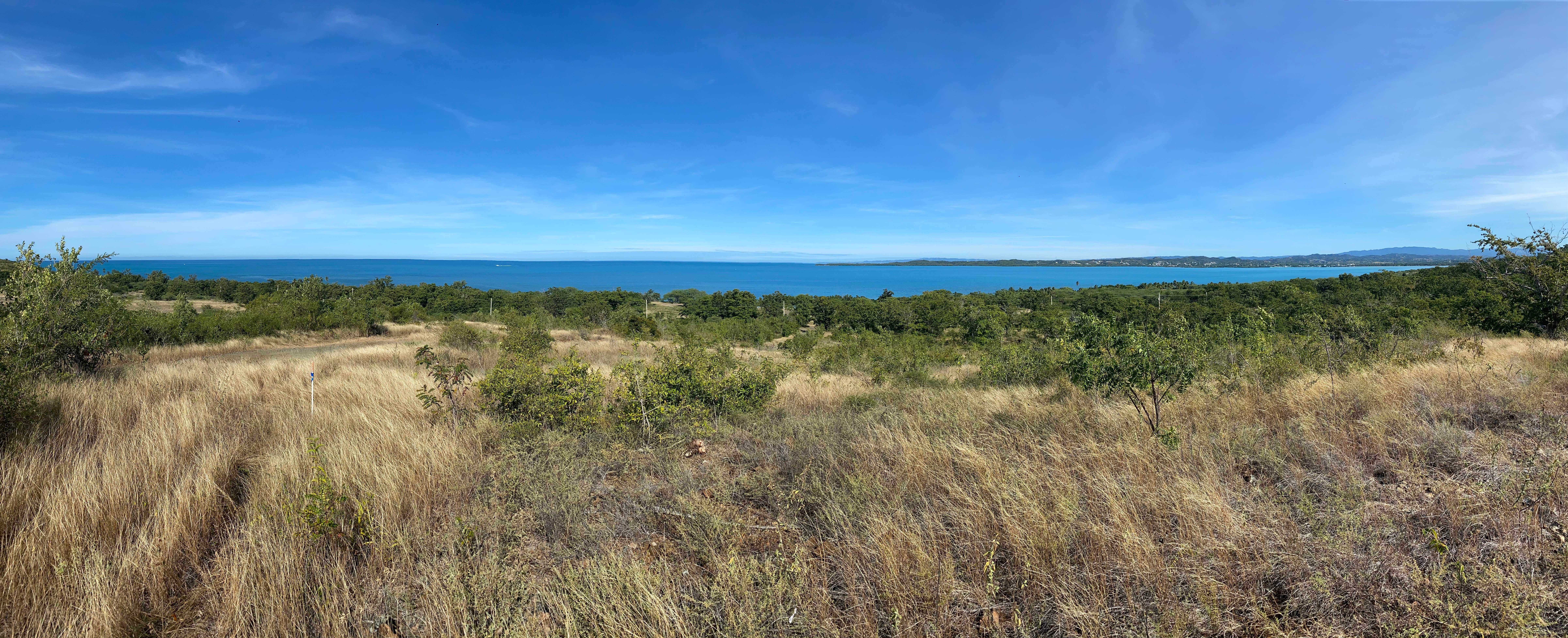 Camper-submitted photo at Playa Rústica in Puerto Rico