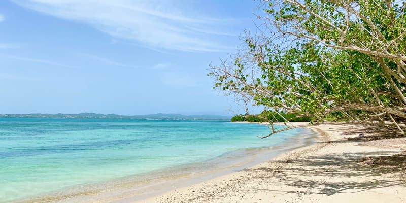 Camper submitted image from Playa Rústica