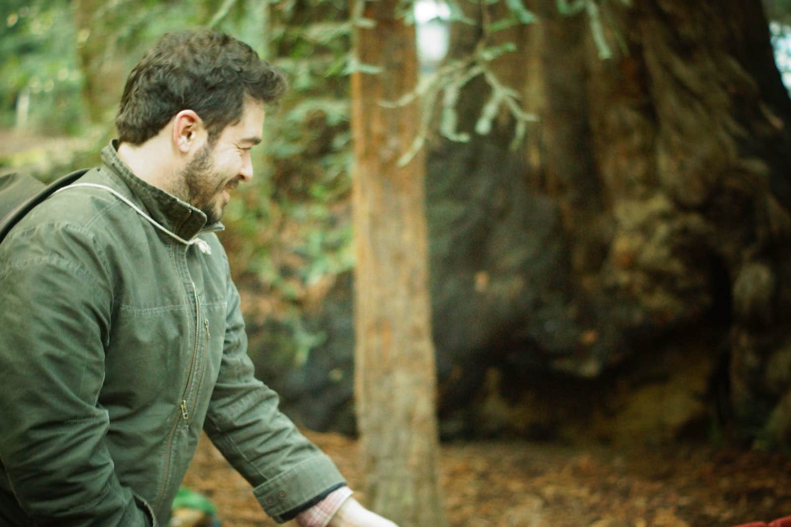 Camper-submitted photo at Julia Pfeiffer Burns Environmental Camping — Julia Pfeiffer Burns State Park near Fort Hunter Liggett, CA