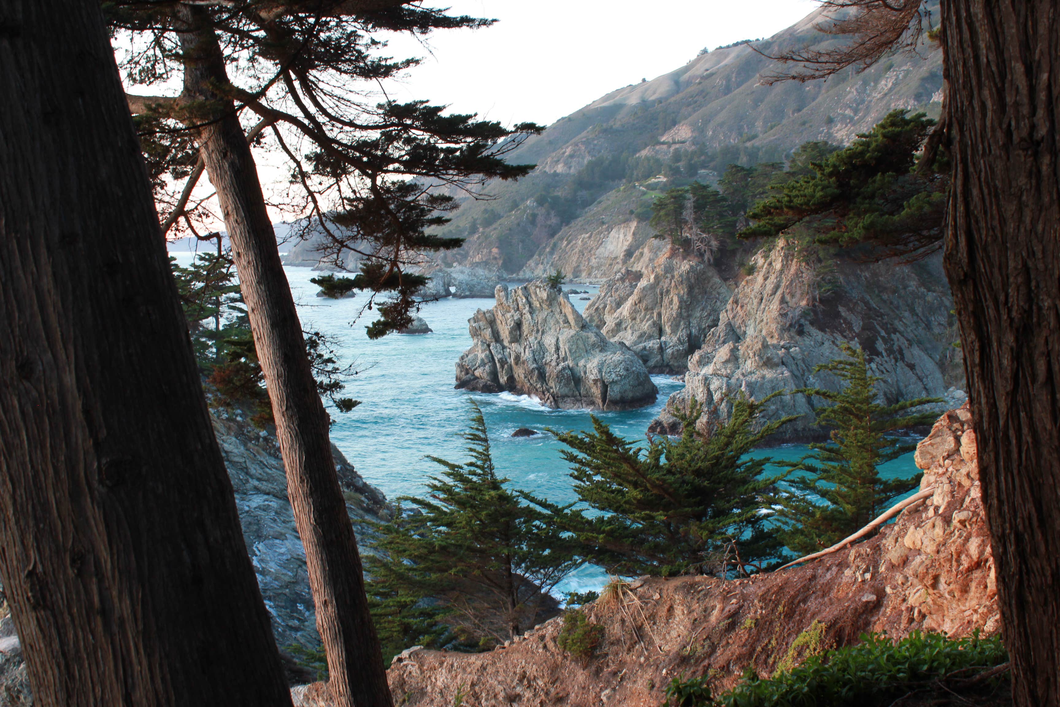 Camper-submitted photo at Julia Pfeiffer Burns Environmental Camping — Julia Pfeiffer Burns State Park near Fort Hunter Liggett, CA