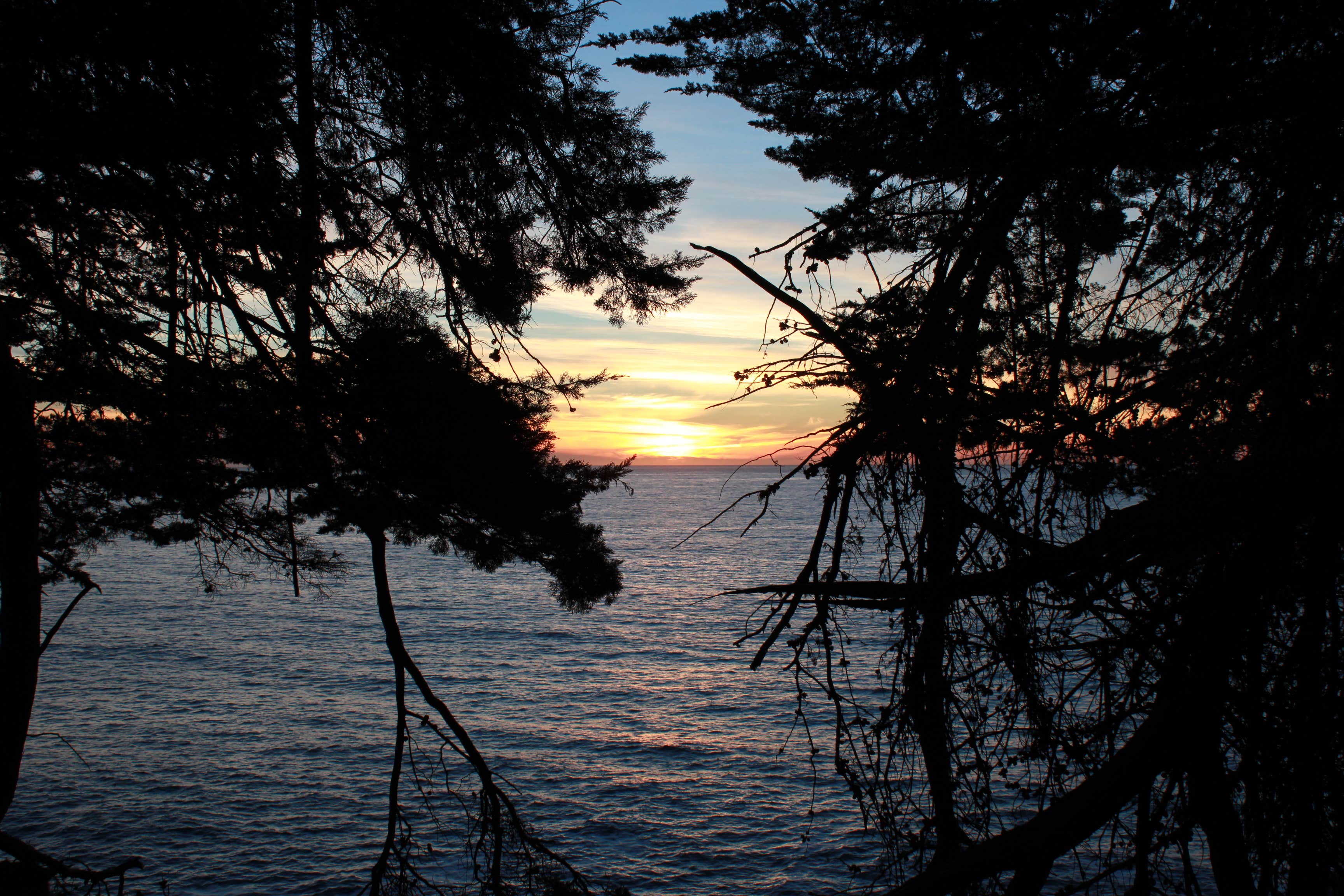 Camper-submitted photo at Julia Pfeiffer Burns Environmental Camping — Julia Pfeiffer Burns State Park near Fort Hunter Liggett, CA