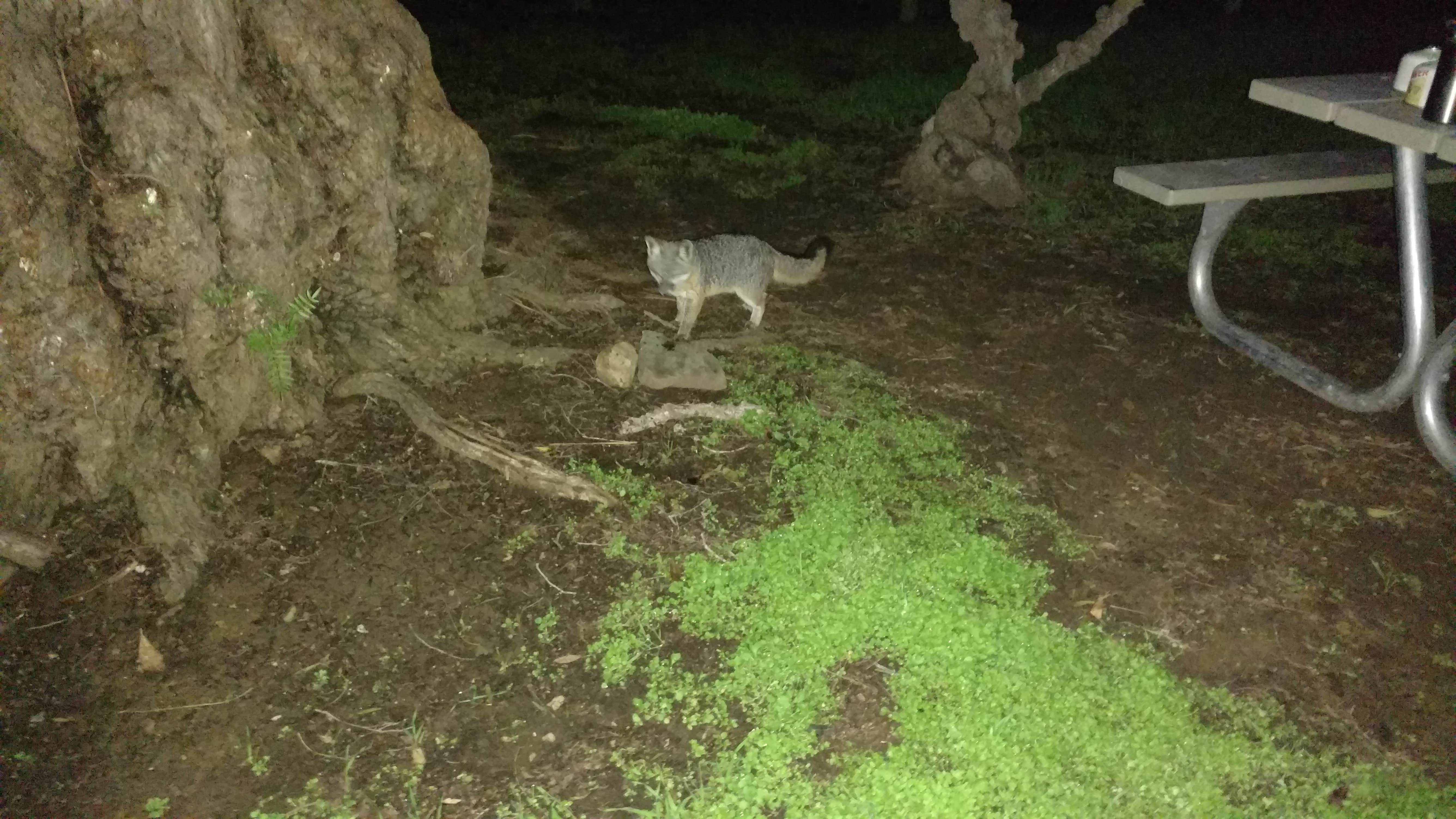 Camper-submitted photo at Hermit Gulch Campground near Sunset Beach, CA