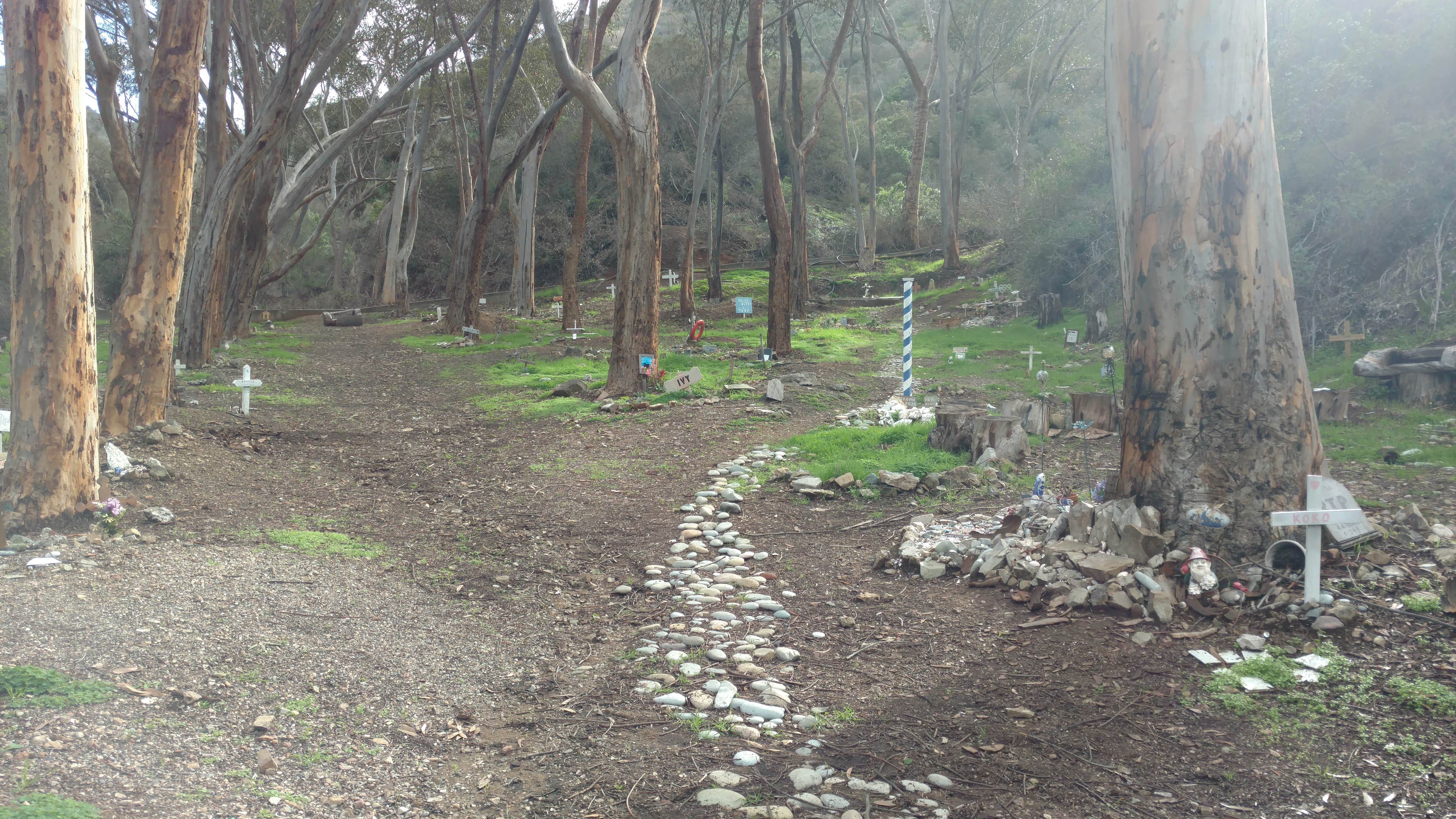 Camper submitted image from Hermit Gulch Campground - 4