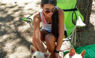 Lyle F.'s photo of camping with pets at Mcgill Campground And Group Campground near Greenfield, CA