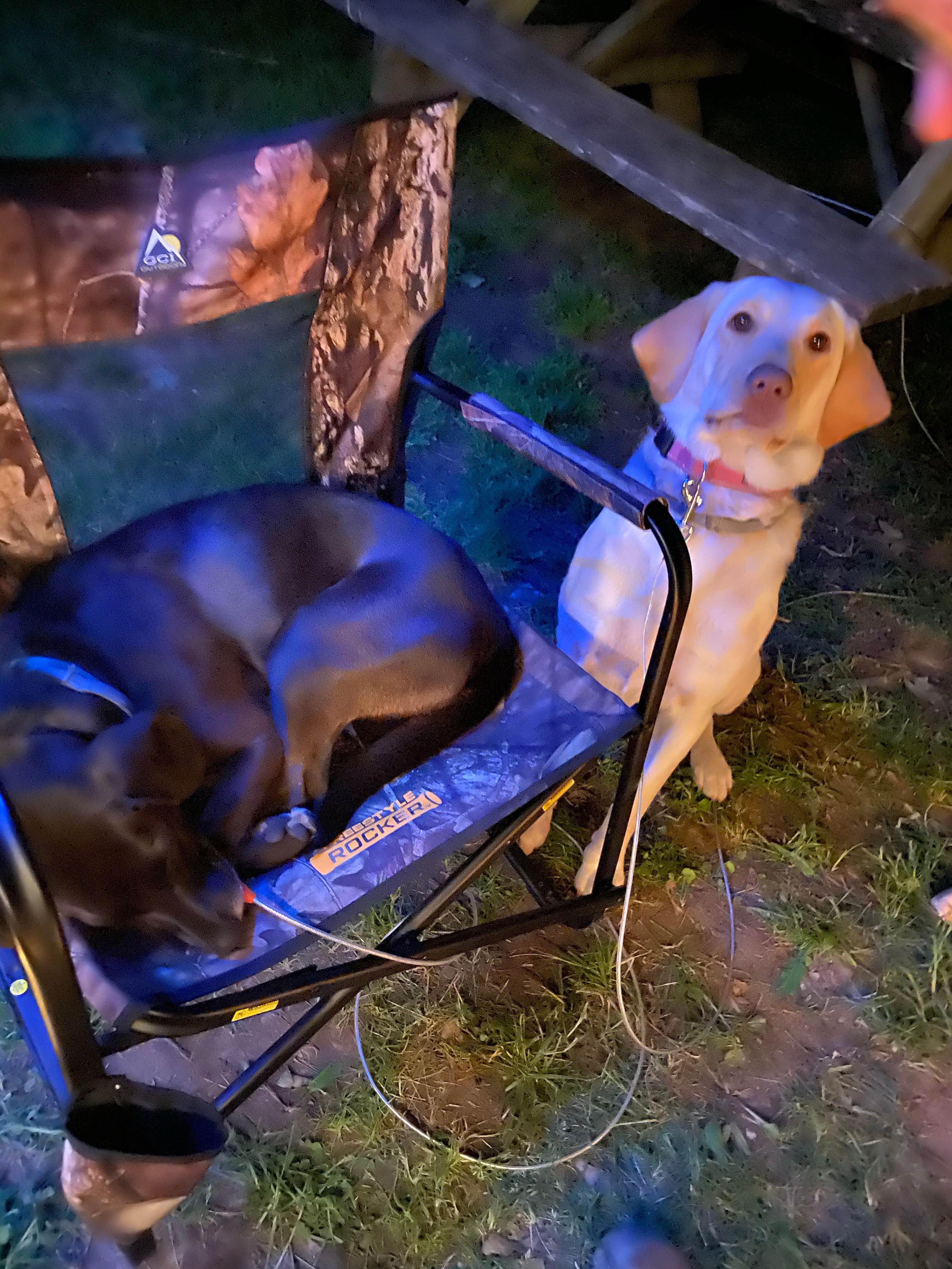 Camper-submitted photo at Lakeside Campground — Lincoln Trail State Park near Marshall, IL