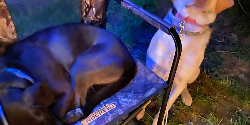 Camper submitted image from Lakeside Campground — Lincoln Trail State Park