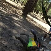 Review photo of Sitgreaves National Forest Canyon Point Campground by Krista Z., May 28, 2018