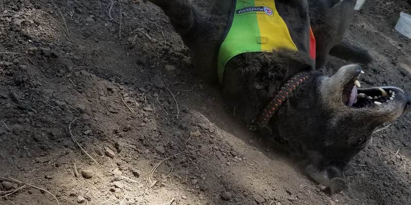 Camper submitted image from Sitgreaves National Forest Canyon Point Campground