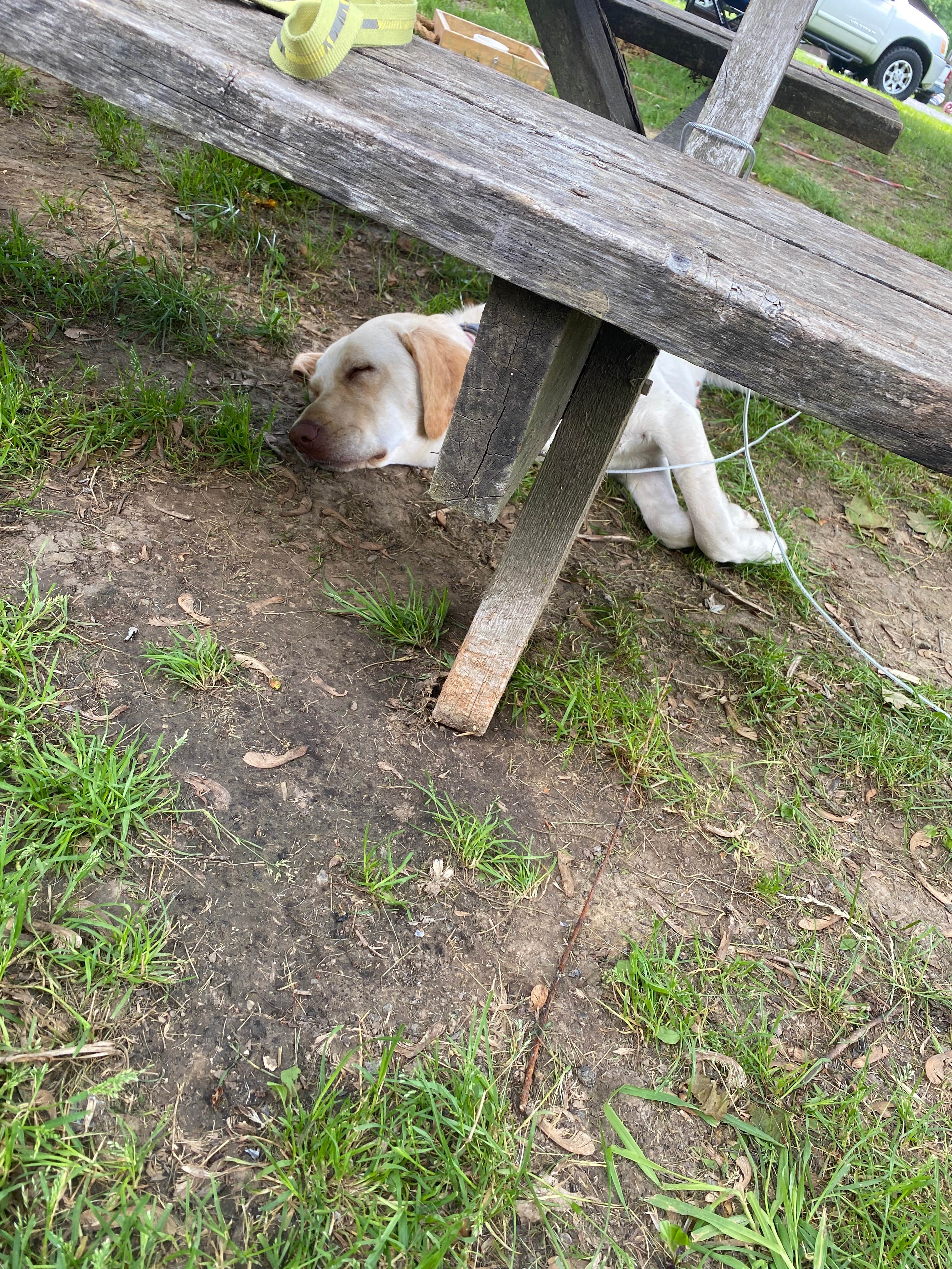 Camper-submitted photo at Turkey Run Canoe & Camping near Cecil M. Harden Lake