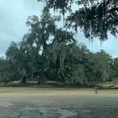 Review photo of Fontainebleau State Park Campground by Sonya P., February 4, 2021