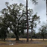 Review photo of Fontainebleau State Park Campground by Sonya P., February 4, 2021