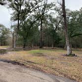 Review photo of Fontainebleau State Park Campground by Sonya P., February 4, 2021