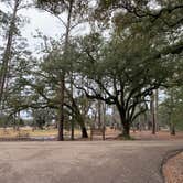 Review photo of Fontainebleau State Park Campground by Sonya P., February 4, 2021