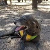 Review photo of Sitgreaves National Forest Canyon Point Campground by Krista Z., May 28, 2018