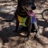 Review photo of Sitgreaves National Forest Canyon Point Campground by Krista Z., May 28, 2018