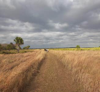 Camper-submitted photo from Kilpatrick Hammock Campground — Kissimmee Prairie Preserve State Park