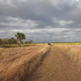 Review photo of Kilpatrick Hammock Campground — Kissimmee Prairie Preserve State Park by Roxxy G., February 4, 2021