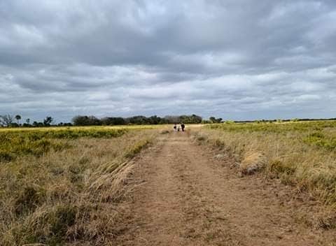 Camper-submitted photo at Kilpatrick Hammock Campground — Kissimmee Prairie Preserve State Park near Port St. Lucie, FL