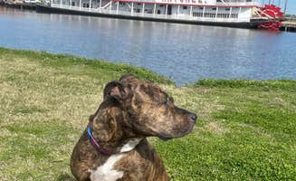 Alana F.'s photo of camping with pets at New Orleans RV Resort & Marina in Louisiana
