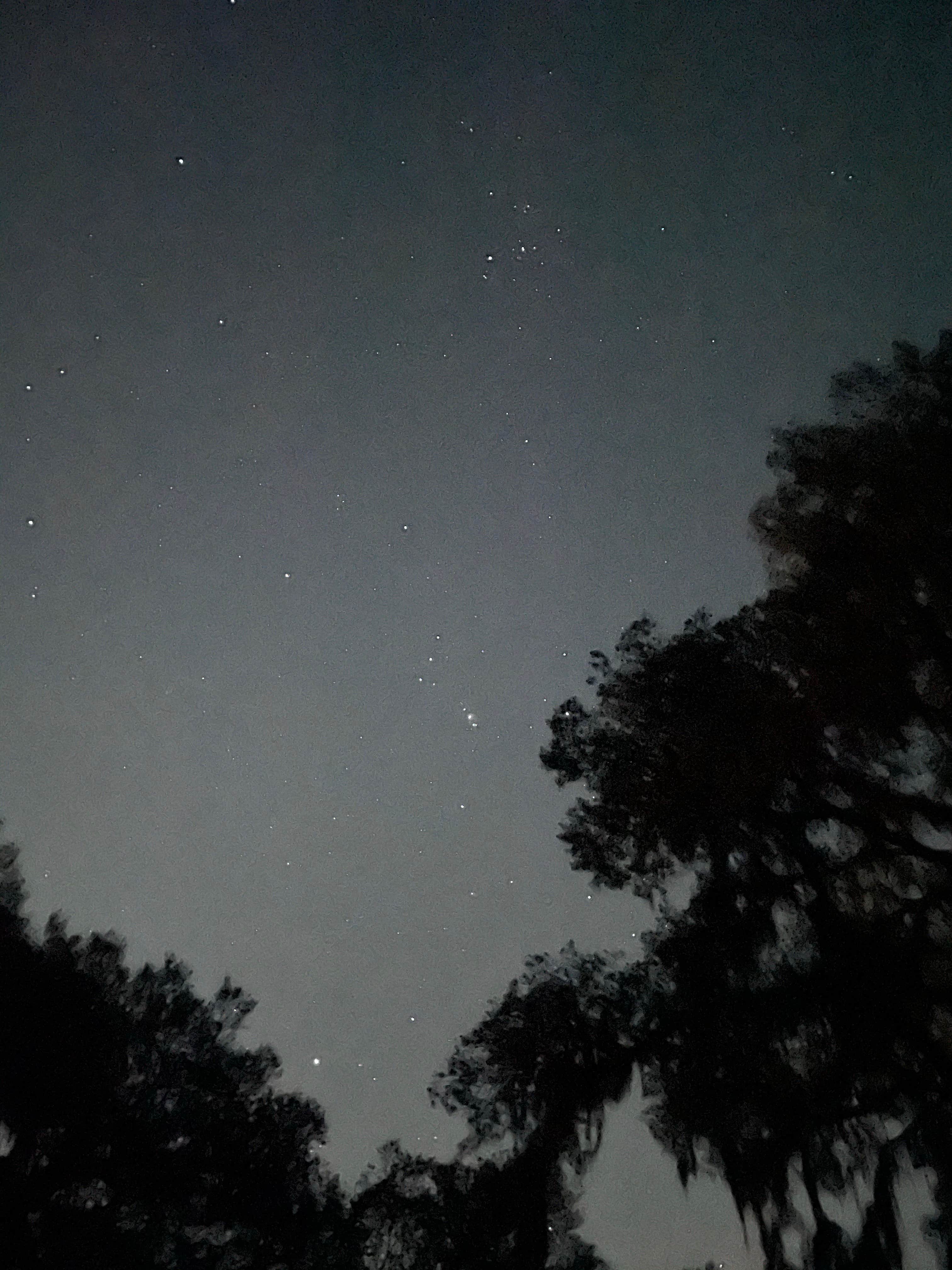 Camper-submitted photo at Serenova Tract Campsites near Tampa, FL