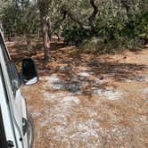 Review photo of Serenova Tract Campsites by Abby M., February 4, 2021