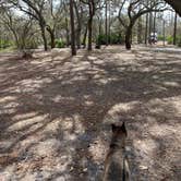 Review photo of Serenova Tract Campsites by Abby M., February 4, 2021