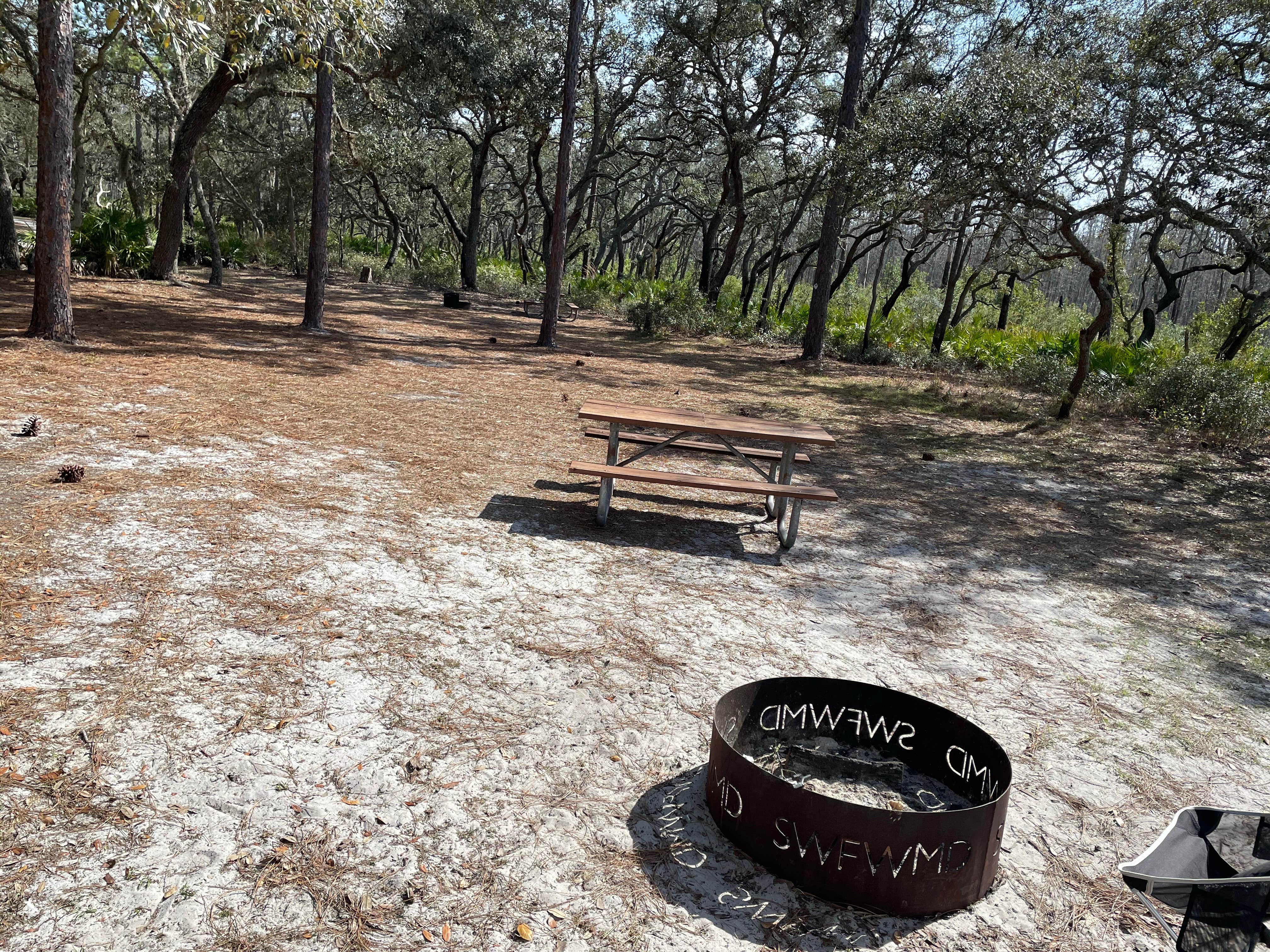 Camper submitted image from Serenova Tract Campsites - 4