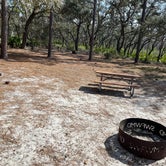 Review photo of Serenova Tract Campsites by Abby M., February 4, 2021