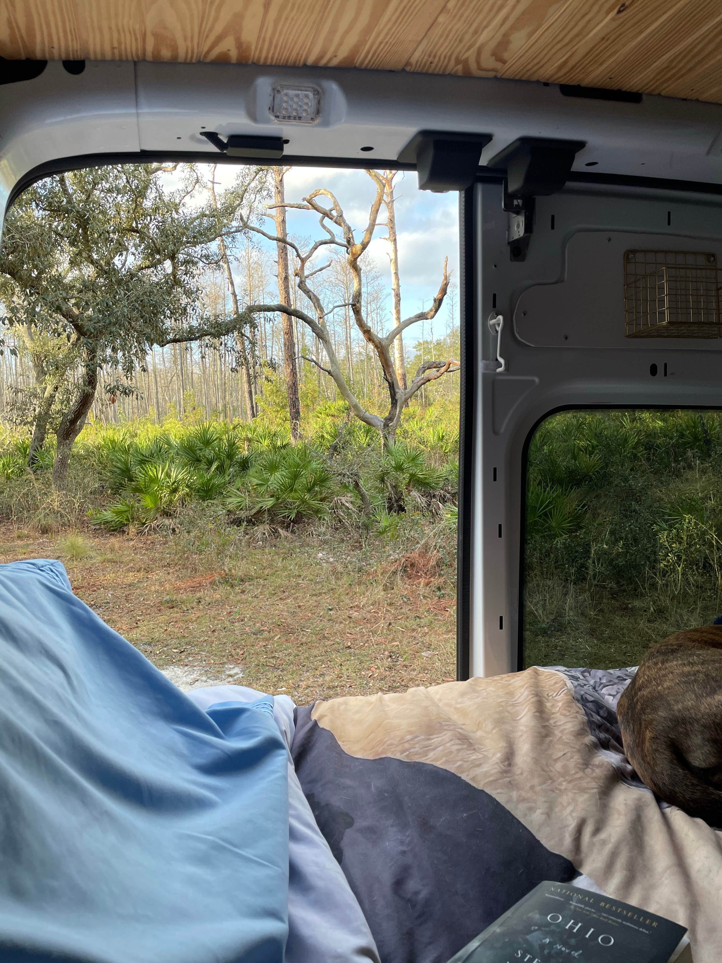 Camper-submitted photo at Serenova Tract Campsites near Tampa, FL