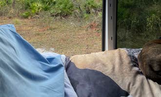 Camping near Conner Preserve: Serenova Tract Campsites, Odessa, Florida