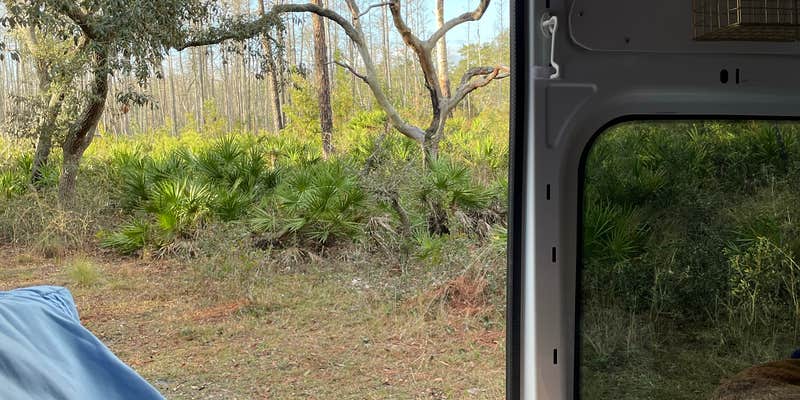 Camper submitted image from Serenova Tract Campsites